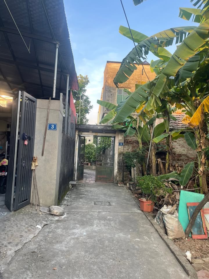 Đất thổ cư Phúc Thọ 41m² giá chỉ vài trăm triệu - Ô tô đỗ cửa ngay!