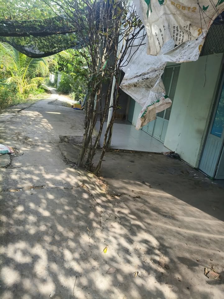 Nhà riêng Phường Tân Hạnh, Long Hồ 102m² giá 790 triệu - Đường rộng dễ dàng di chuyển!