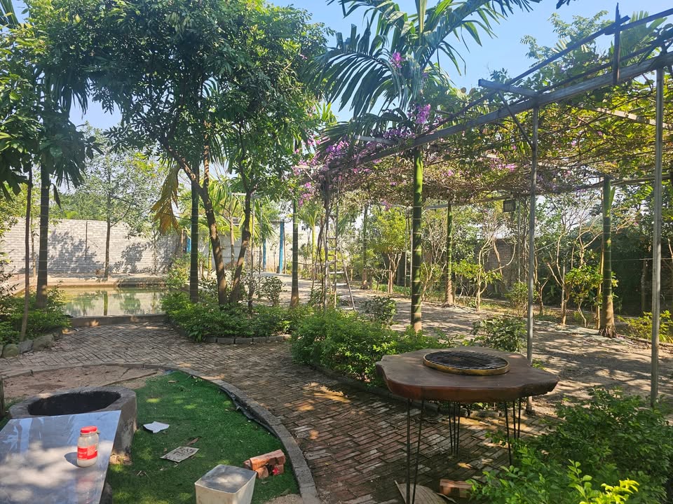 Đất sổ đỏ 600m² tại Sài Sơn - Quốc Oai, giá chỉ vài triệu/m² - Cơ hội đầu tư tuyệt vời!