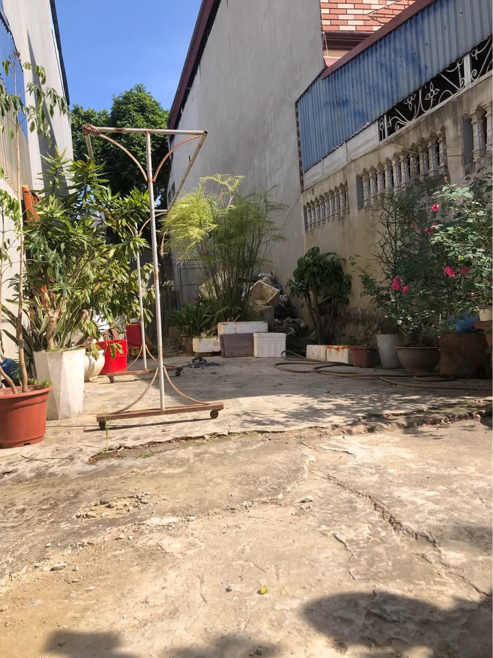 Đất nền Túc Duyên 98m² giá 1.6 tỷ - Cơ hội đầu tư hấp dẫn!