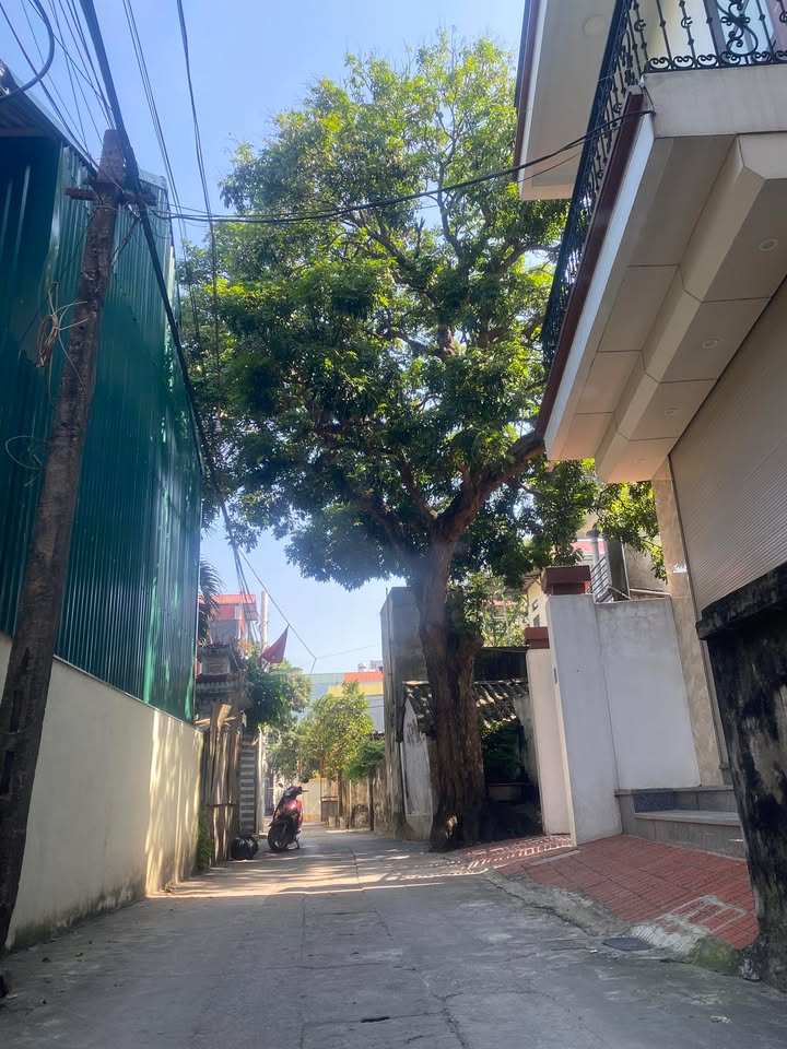 Đất nền ngõ Thượng Phúc, Tả Thanh Oai 48m² giá 4 tỷ - Ô tô đỗ cửa, vị trí thuận lợi!