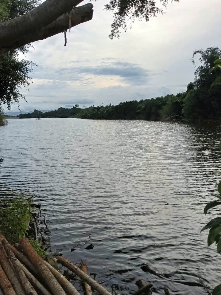 Đất vườn Lộc An 1001m² giá 3 tỷ - Sổ đỏ chính chủ, mặt tiền đường lớn