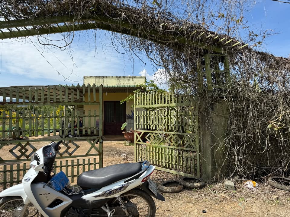 Đất nền Bảo Lộc 5.500m² giá 4.5 tỷ - Sổ đỏ chính chủ, mặt tiền rộng