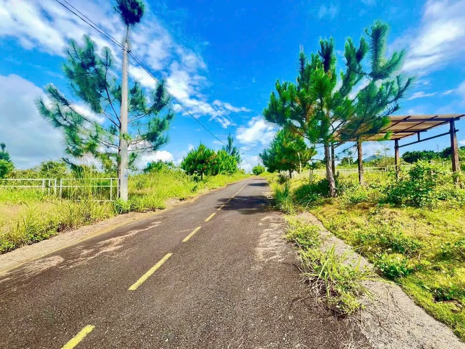 Đất thổ cư 234m² hẻm 134 Phùng Hưng, Bảo Lộc giá chỉ 1.19 tỷ - Cơ hội đầu tư hấp dẫn!