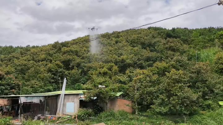 Lô đất mặt tiền QL 55, Lộc Nam, Bảo Lâm 1,8ha - Đầu tư sinh lời ngay!