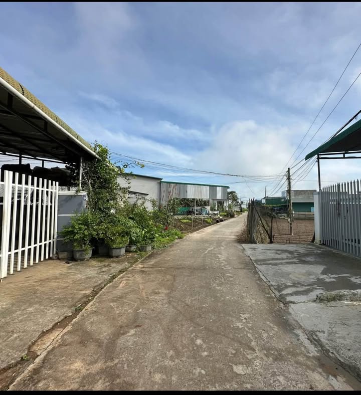 Đất nền Phú Hội Đức Trọng 130m² giá chỉ 779 triệu - Cơ hội đầu tư hấp dẫn!