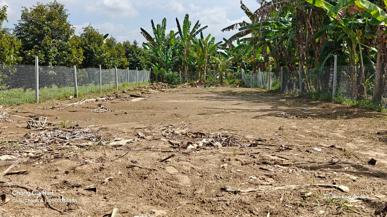 Đất nền Trường Long Tây 458m² giá 730 triệu - Cơ hội đầu tư sinh lời!