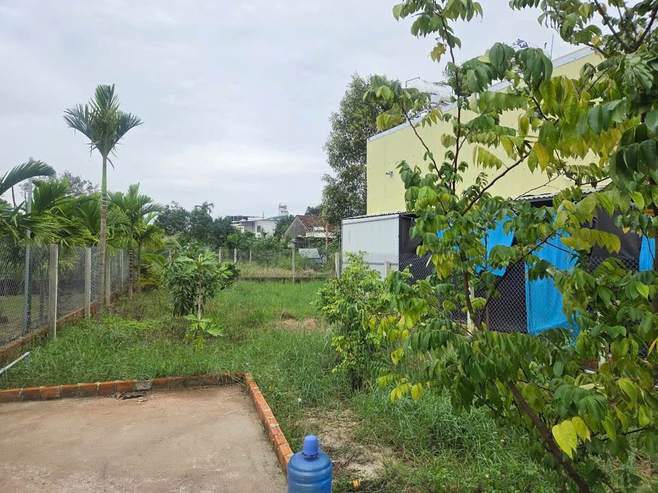 Đất vườn Nguyễn Trãi, Nghĩa Lộ 377m² giá 1.3 tỷ - Tiềm năng phát triển vượt trội!