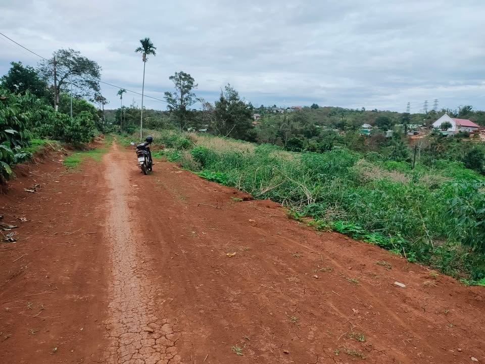 Đất nền Nhân Cơ - 320m² giá chỉ 650 triệu - Đầu tư sinh lời ngay!