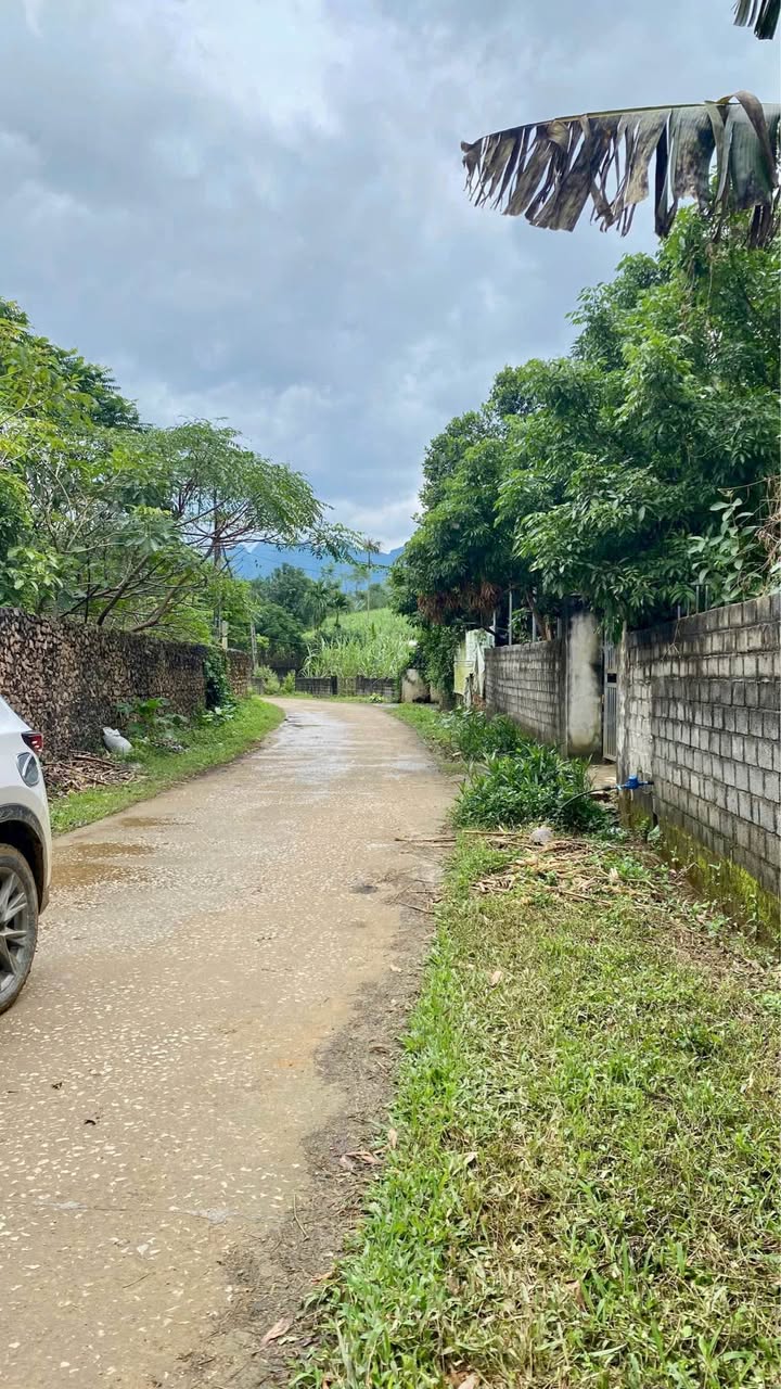 Đất thổ cư 1000m² tại xóm Cuôi, Kim Bôi - Giá 1.9 tỷ, thích hợp nghỉ dưỡng!