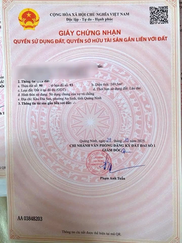 Đất nền An Sinh, Đông Triều 249,5m² giá chỉ vài trăm triệu - Cơ hội đầu tư tuyệt vời!