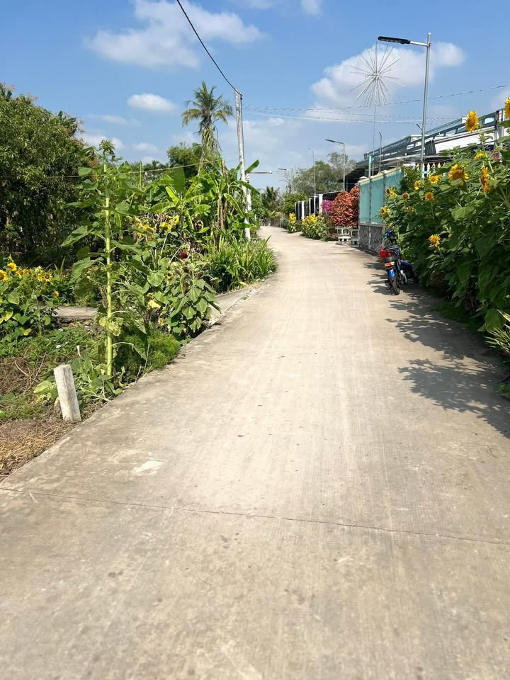 Nhà mặt tiền đường Nguyên Thi Bầy, Mỹ Lộc, Cần Giuộc 124m² - Giá chỉ 1.23 tỷ!