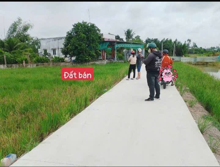 Đất thổ cư Tân Trụ 77m² giá chỉ 290 triệu - Sổ đỏ chính chủ