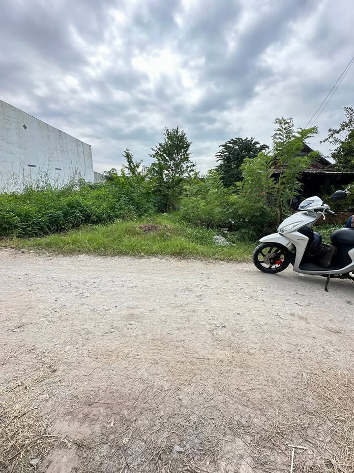 Đất nền Mỹ Hạnh Nam 100m² giá 1.1 tỷ - Cơ hội đầu tư tuyệt vời!