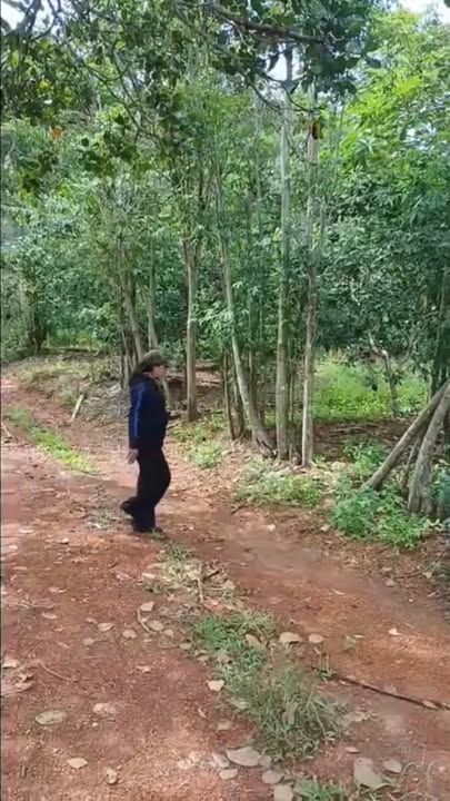 Đất nền Suối Rao Châu Đức 2.9 sào giá 1.2 tỷ - Cơ hội đầu tư hấp dẫn!