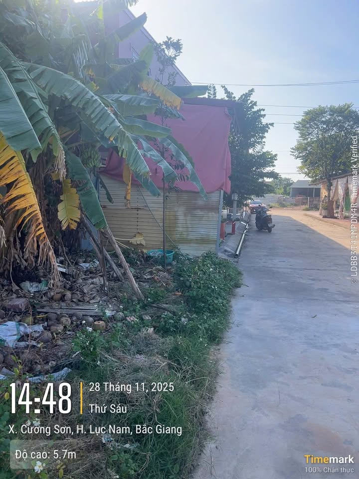 Đất thổ cư Cương Sơn Lục Nam 110m² giá 1 tỷ - Cơ hội đầu tư tuyệt vời!