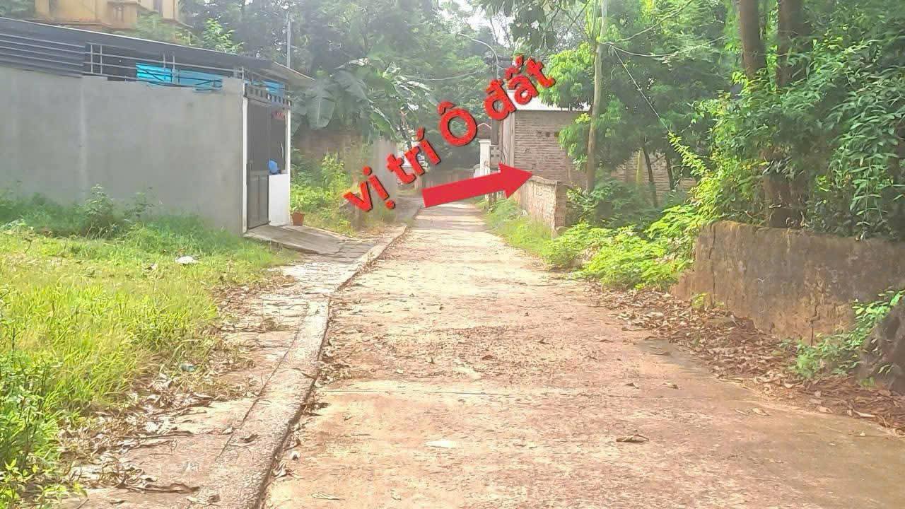 Đất nền Thanh Vân Tam Dương 150m² giá 1.3 tỷ - Cơ hội đầu tư hấp dẫn!