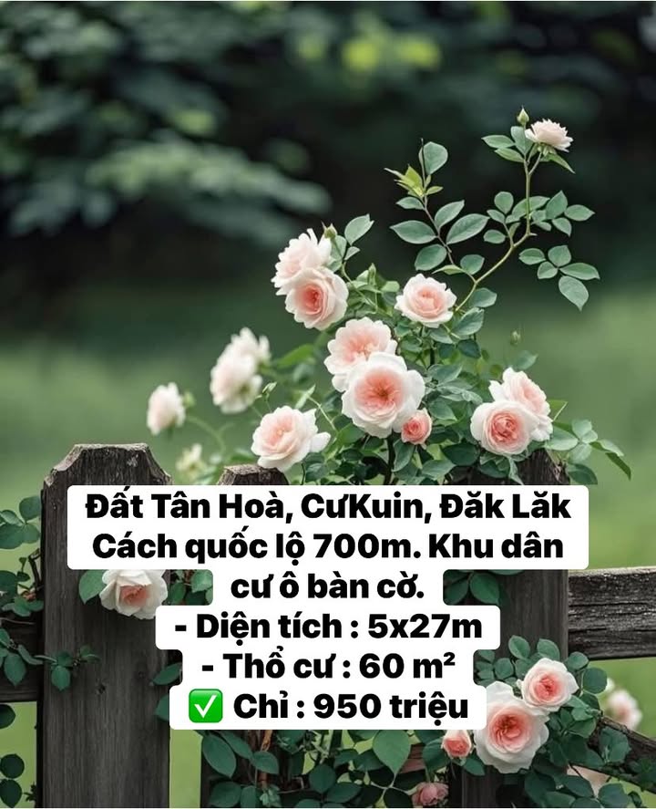 Đất nền Tân Hòa, Cư Kuin, Đắk Lắk 135m² giá 950 triệu - Đầu tư sinh lời ngay!