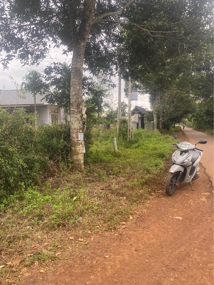 Đất mặt tiền hẻm 171 Nguyễn Thái Bình, Tân Lập, Buôn Ma Thuột, 230m² - Đầu tư sinh lời ngay!