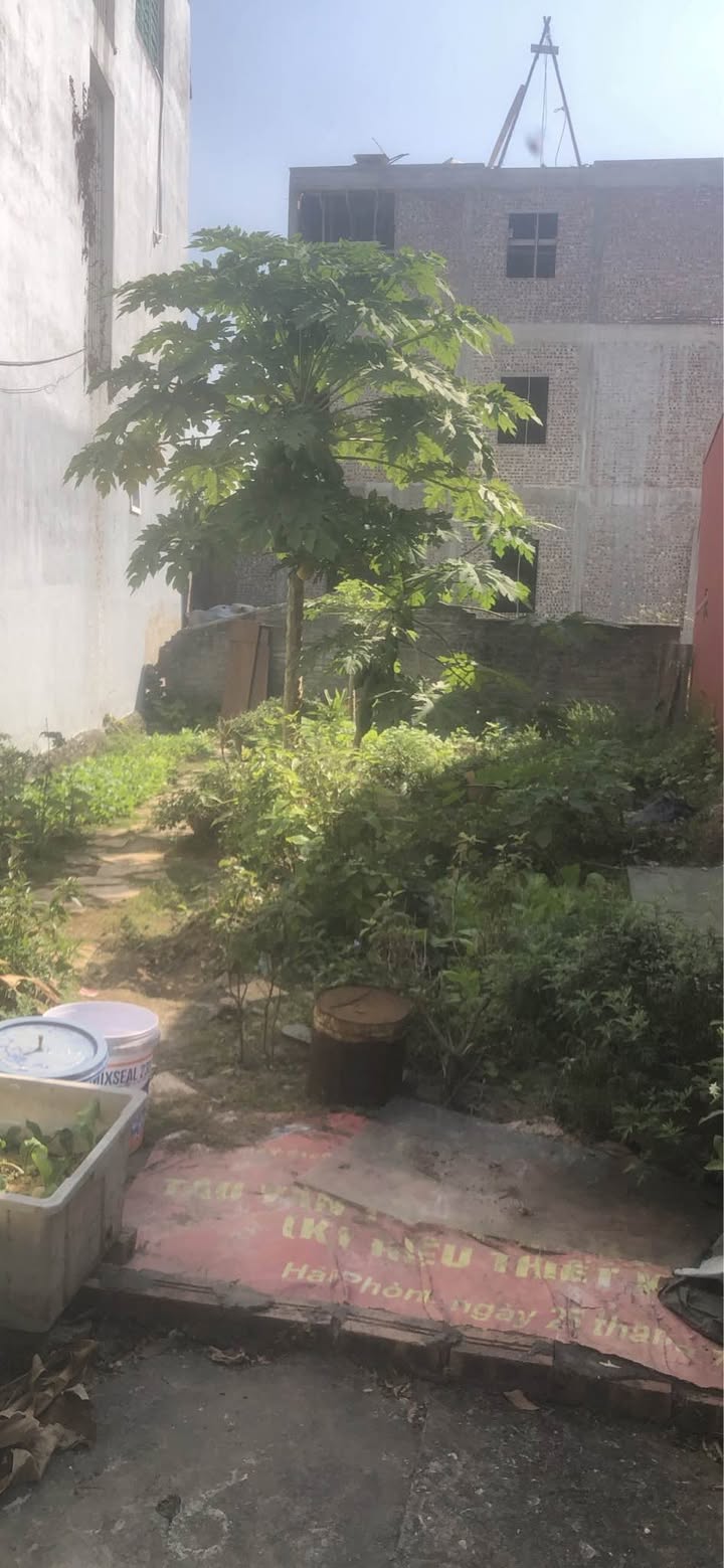 Đất nền Đồng Thái, An Dương 88m² giá chỉ 2.1 tỷ - Cơ hội đầu tư hiếm có!