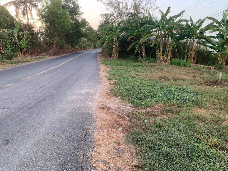 Đất nền xã Khánh Bình, huyện Trần Văn Thời, Cà Mau 3900m² - Mặt tiền lộ nhựa xe buýt!