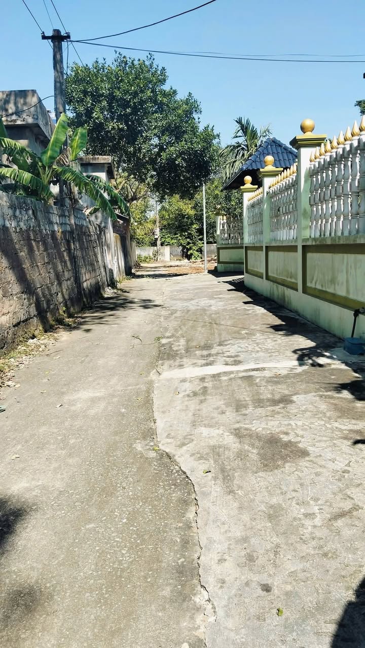 Đất nền thôn Hoằng Trì 1, xã Hoằng Thắng, 130m² giá chỉ 500 triệu - Cơ hội đầu tư hấp dẫn!