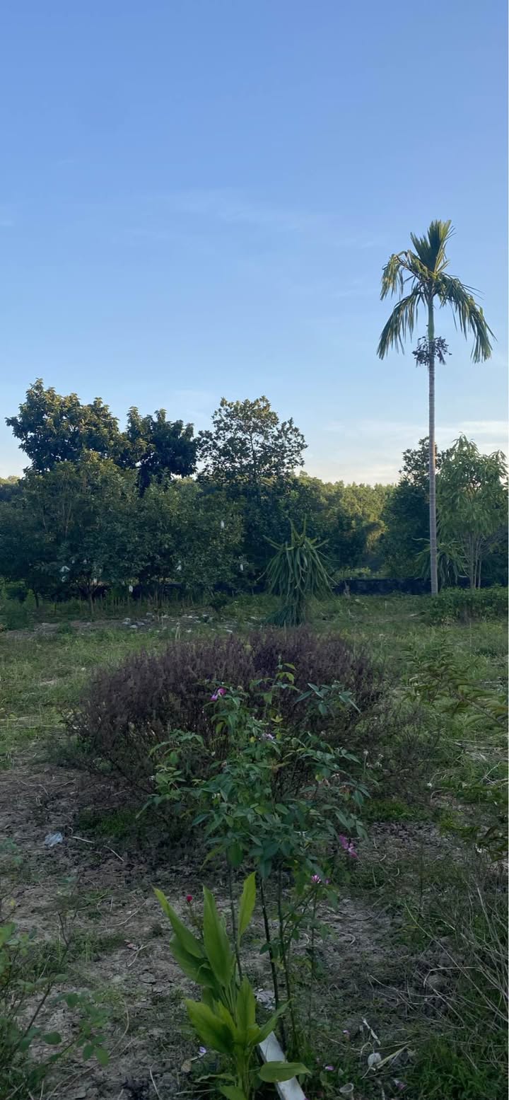 Đất nền 2150m² tại xóm Cương Lăng, Tân Cương - Giá chỉ 2.9 tỷ, thương lượng!