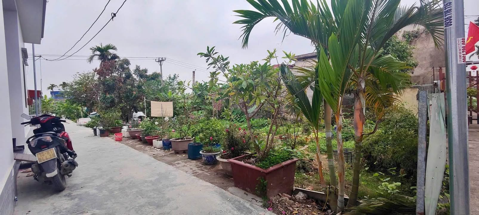 Đất Lô Góc Cát Khê 73.5m² giá chỉ 2 tỷ - Cơ hội đầu tư tuyệt vời!