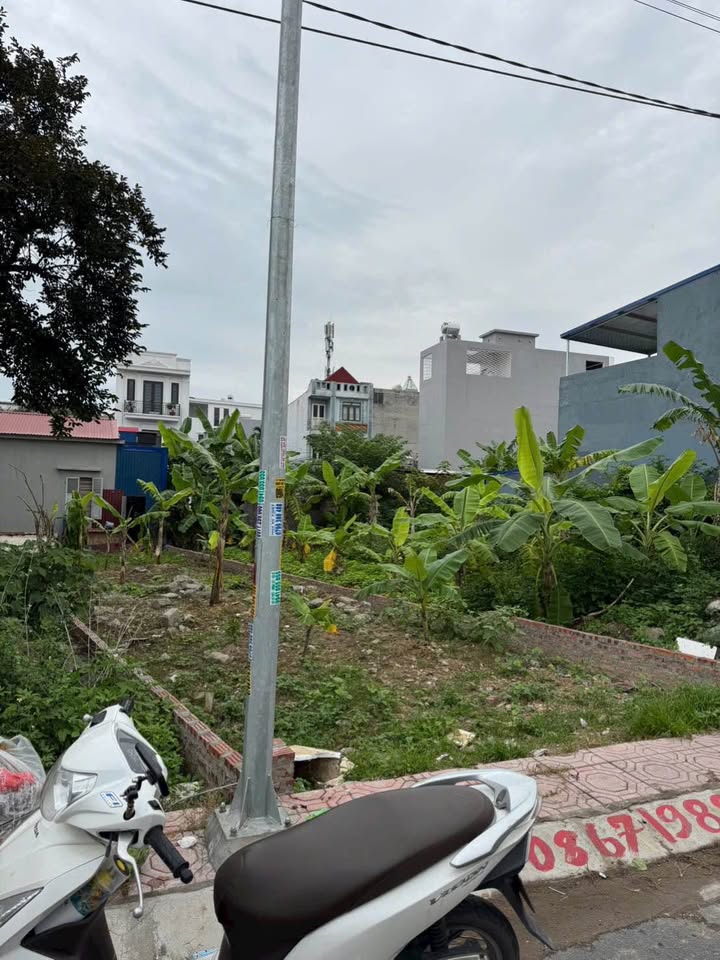 Đất mặt đường Vĩnh Khê, An Đồng, 115m² giá 4 tỷ - Cơ hội đầu tư tuyệt vời!