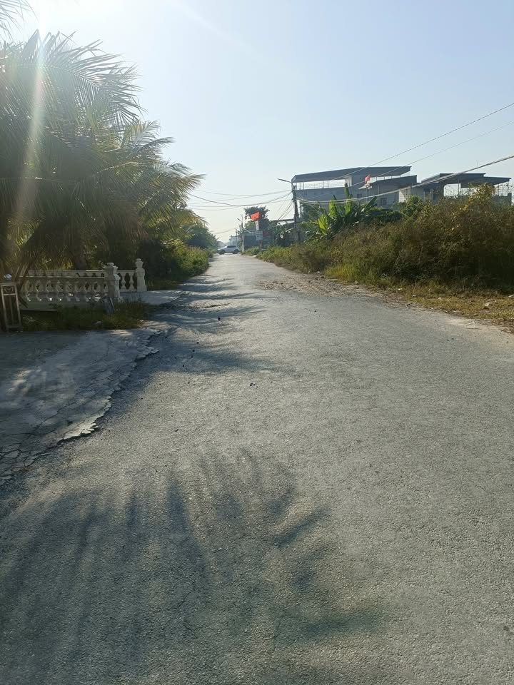 Đất nền chính chủ tại phường Minh Đức, quận Đồ Sơn, 125m² giá chỉ 2 tỷ - Cơ hội đầu tư tốt!