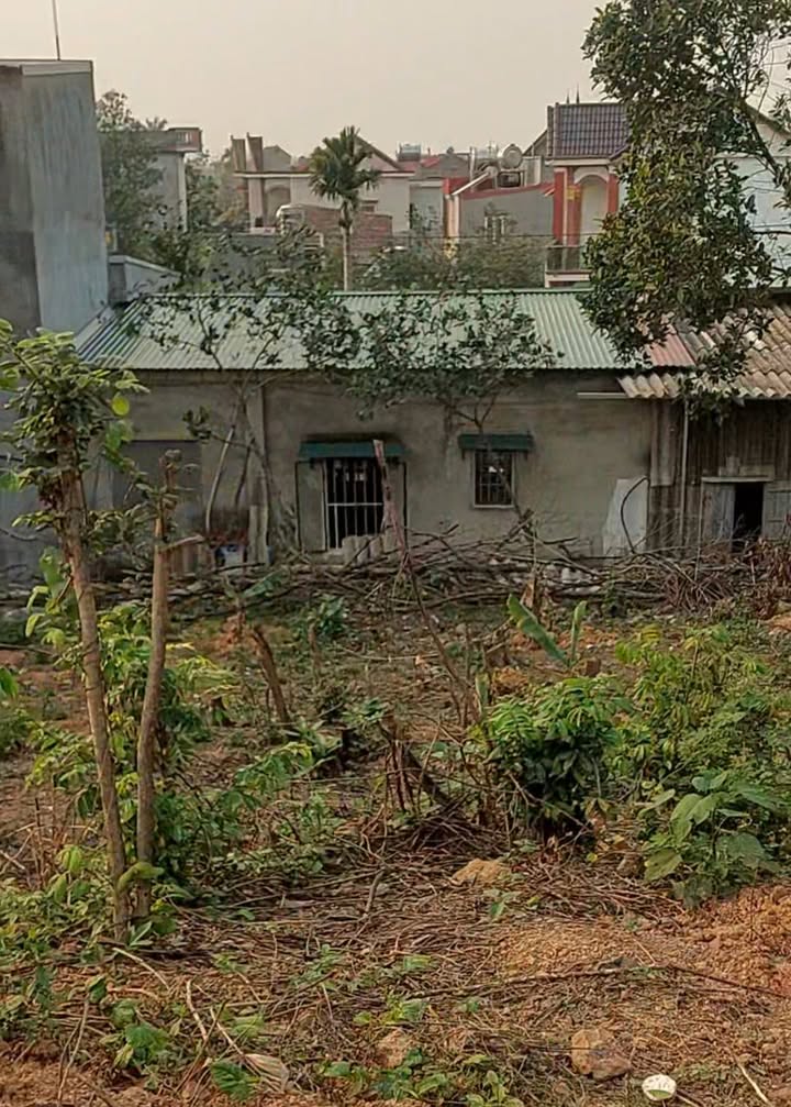 Đất nền Đồng Phúc, Yên Dũng 360m² giá thỏa thuận - Đầu tư lý tưởng!