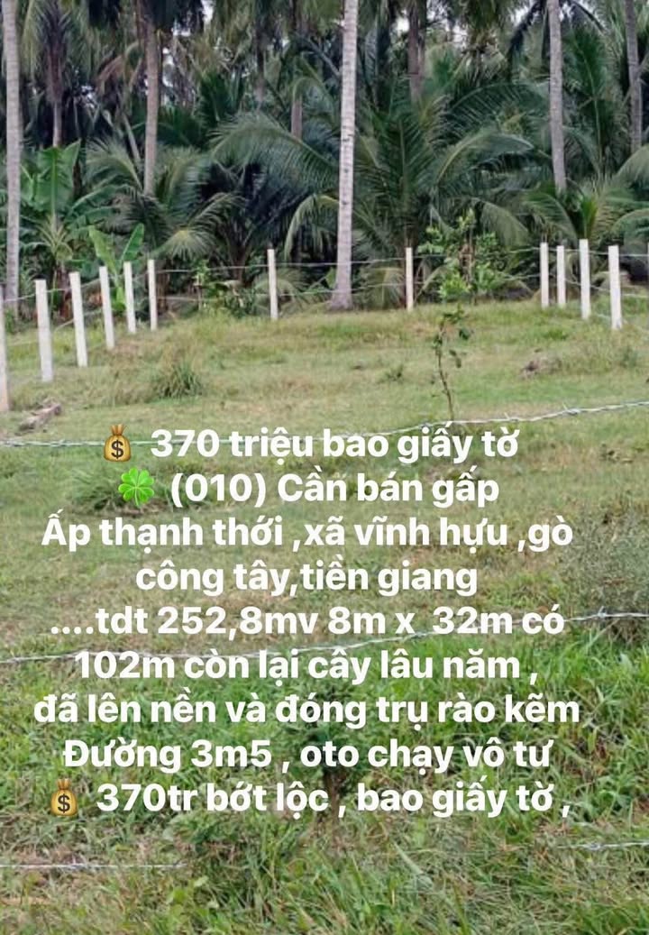 Đất nền chính chủ ấp Thạnh Thới, Gò Công Tây 252m² giá chỉ 370 triệu - Cơ hội đầu tư hiếm có!