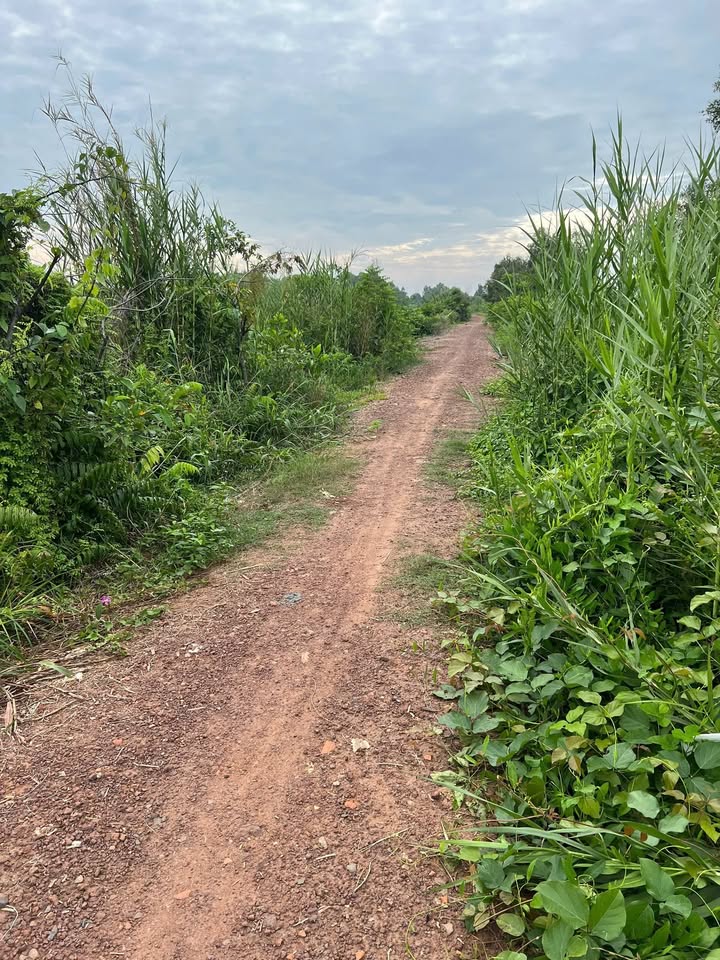 Đất nền Xuân Thới Sơn 3.300m² giá 33 tỷ - Cơ hội đầu tư sinh lời!