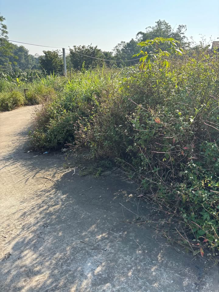 Đất An Thịnh, Ba Vì 232m² giá 1 tỷ - Mặt tiền rộng, cơ hội đầu tư tuyệt vời!