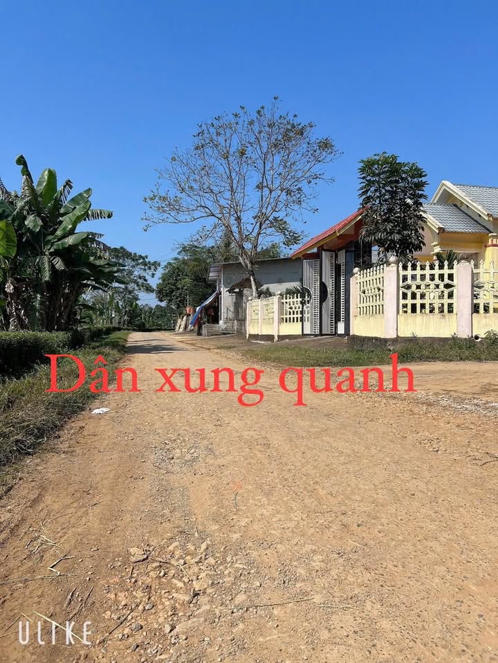 Đất nền Ngọc Sơn Ngọc Lặc 245m² giá 2xx triệu - Cơ hội đầu tư tuyệt vời!