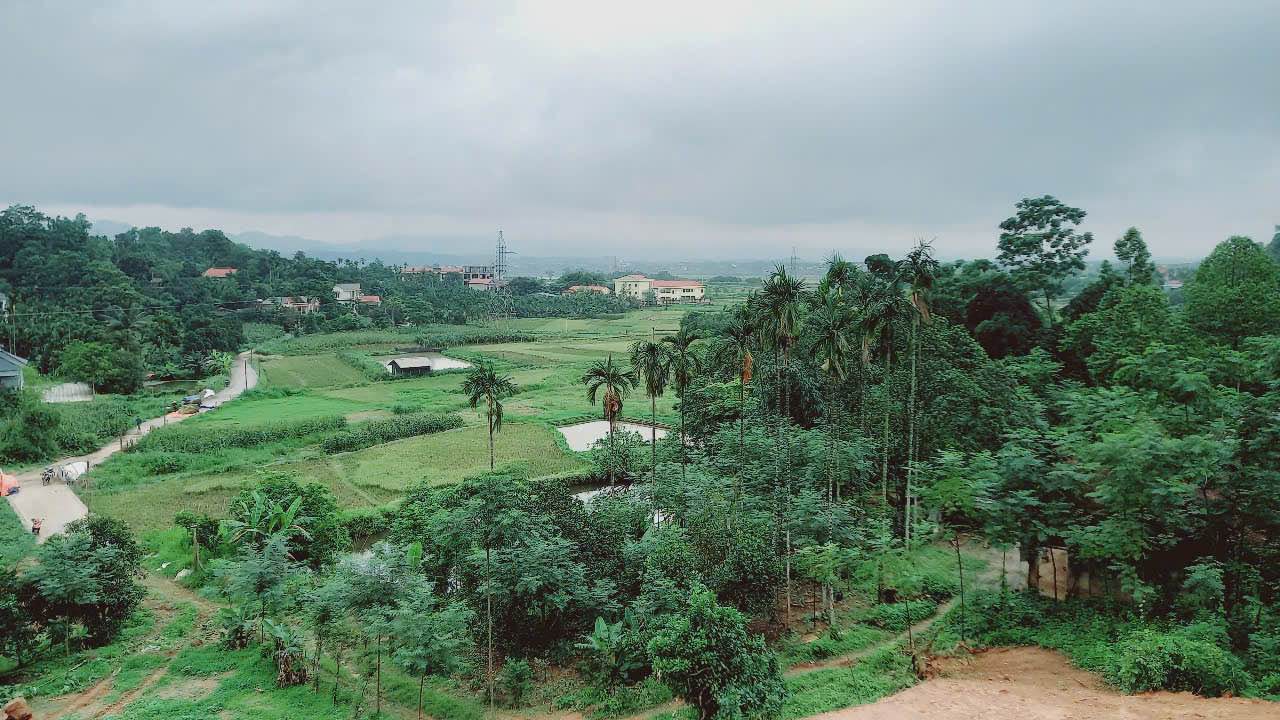 Lô đất 1700m² tại Minh Quang - Ba Vì, giá chỉ 3 tỷ - Cơ hội đầu tư hiếm có!