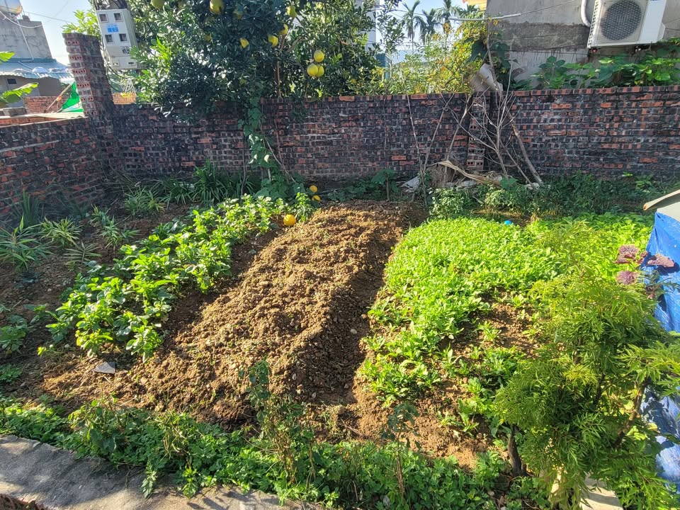 Đất thổ cư 90m² tại thôn 7 Sông Khoai giá 1.1 tỷ - Đầu tư sinh lời ngay!