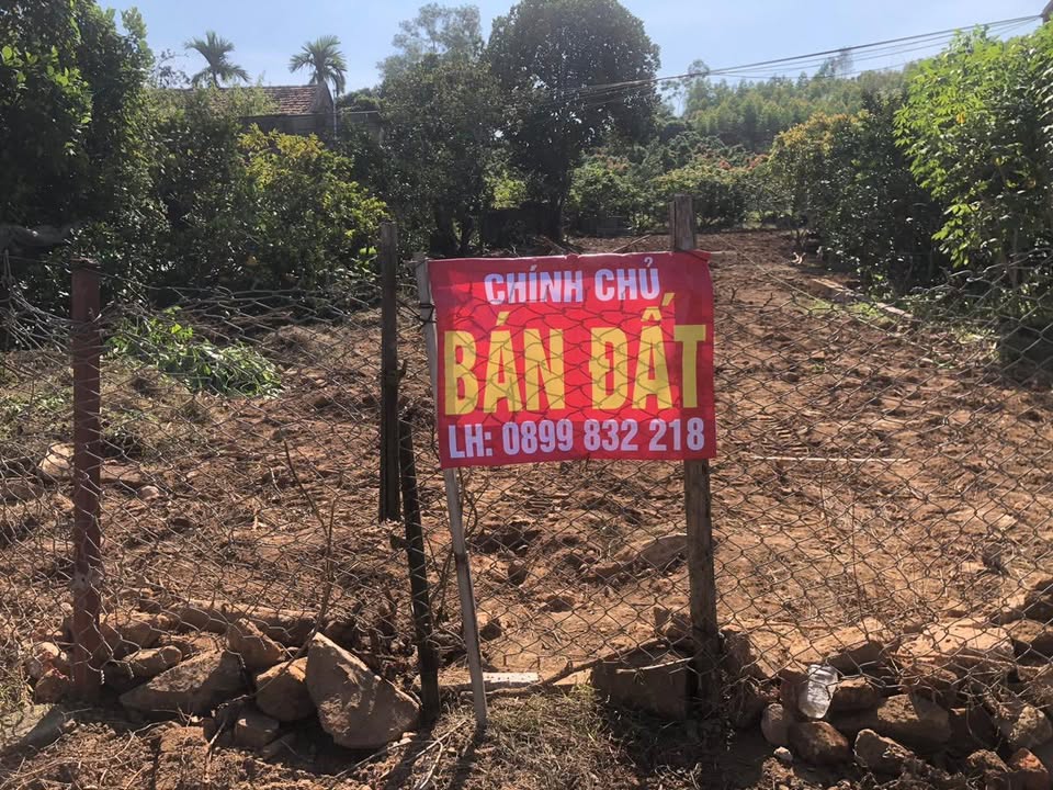 Đất thổ cư 100m² tại Quốc lộ 31, Phượng Sơn - Tiềm năng kinh doanh lớn!