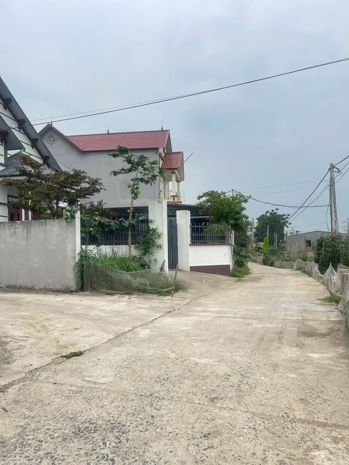 Đất nền Minh Quang Tam Đảo 109m² giá thỏa thuận - Vị trí đắc địa, không khí trong lành!