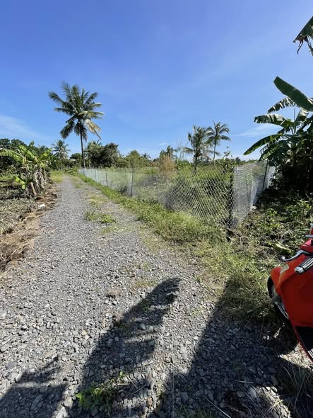 Đất thổ cư 1.000m² tại xã Phú Thịnh, huyện Tân Phú - Giá chỉ 320 triệu!