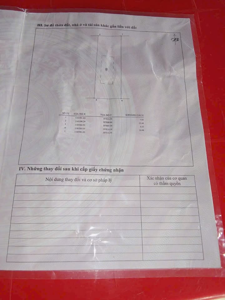 Nhà mặt tiền Quốc lộ 50, xã Thành Công, Gò Công Tây 211m² - Cần bán gấp!