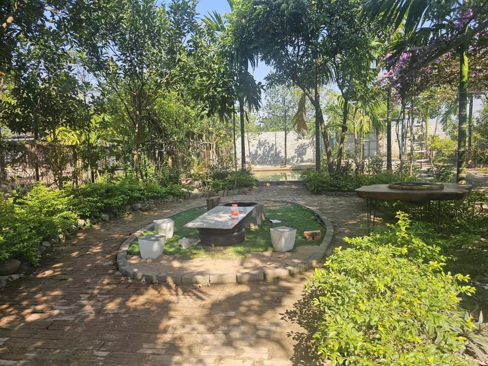 Đất vườn 600m² tại Sài Sơn, Quốc Oai - Giá chỉ từ vài triệu/m², thích hợp nghỉ dưỡng!