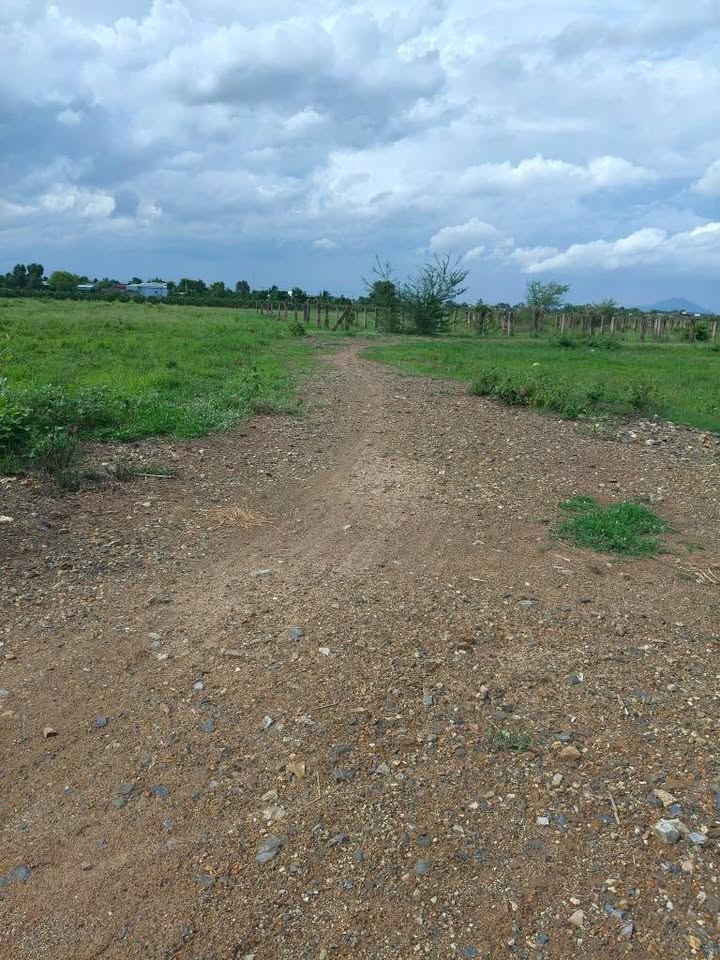 Đất nền Thôn 1, xã Hàm Liêm 802m² giá 300 triệu - Sổ đỏ chính chủ, đầu tư sinh lời!