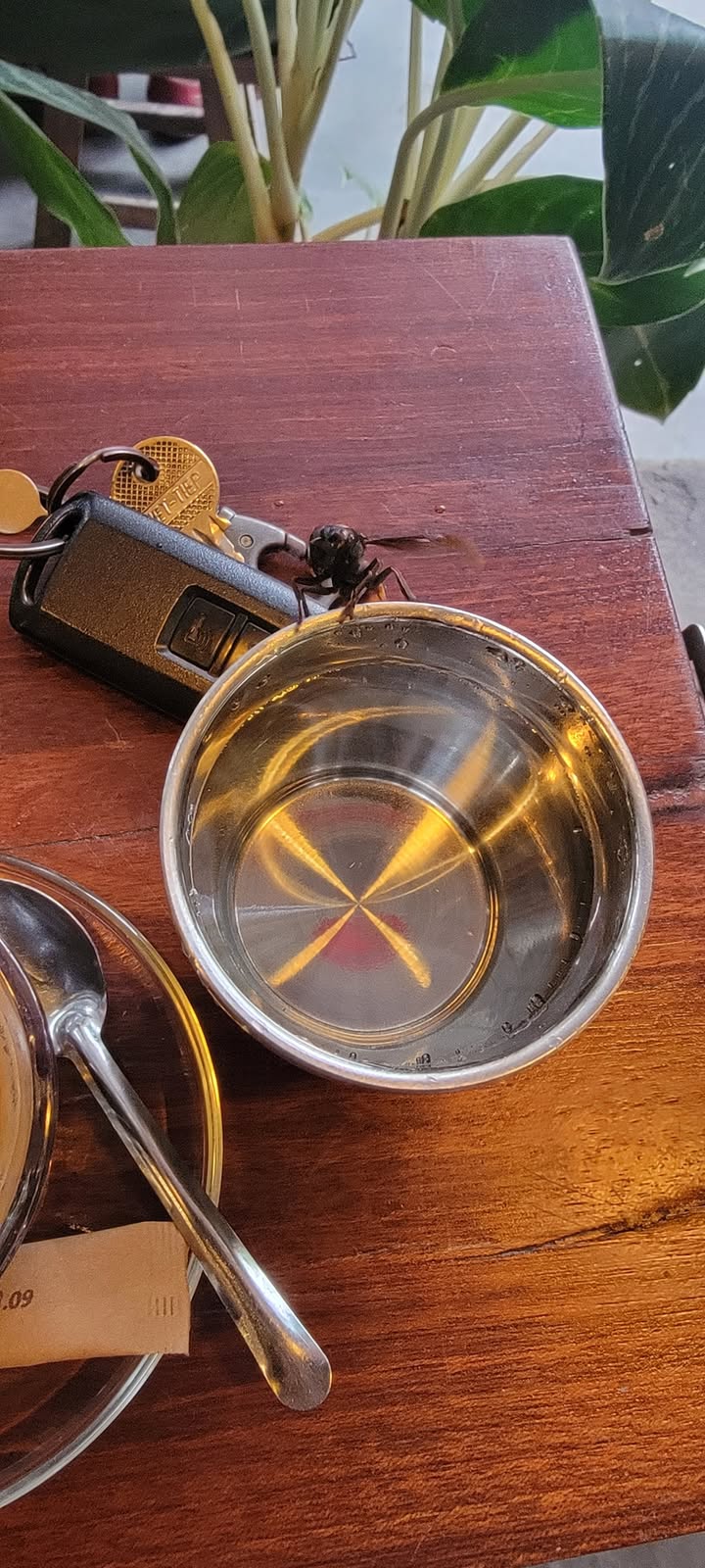 Đất nền khu quy hoạch Chợ Quảng Thọ 135m² giá chỉ 800 triệu - Pháp lý rõ ràng, sẵn sàng đầu tư!