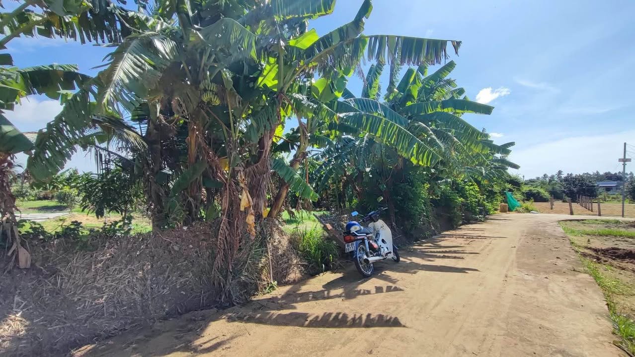 Đất Kim Ngọc Hàm Thắng 1000m² giá 950 triệu - Cơ hội đầu tư tuyệt vời!