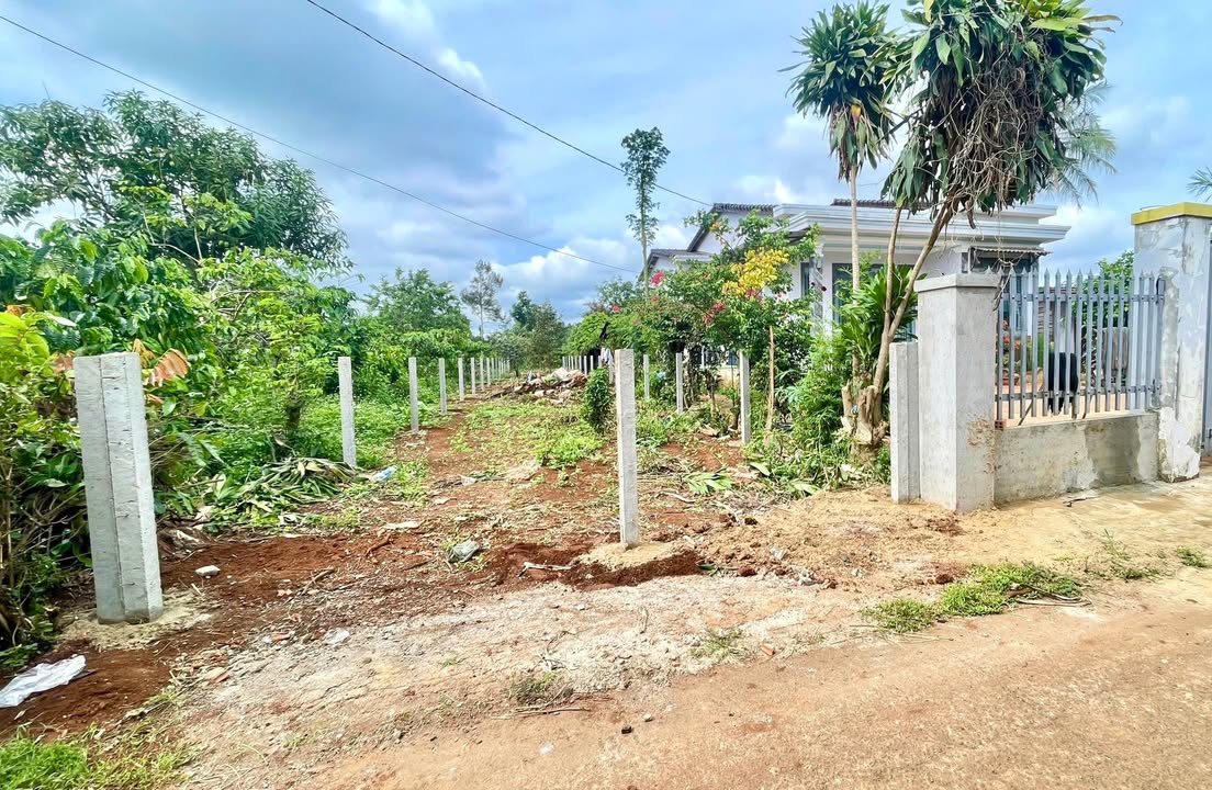 Bán đất mặt tiền KA10, Tân An, Buôn Ma Thuột 2500m² - Tiềm năng tăng giá mạnh!