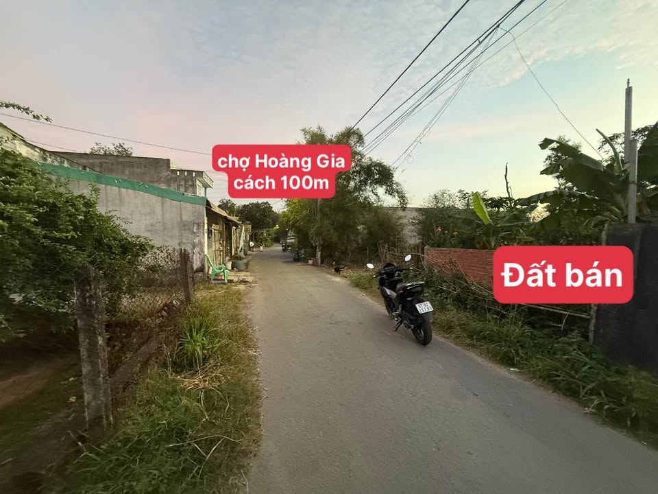 Đất nền Tân Định, Bến Cát 100m² giá 1.8 tỷ - Vị trí đắc địa, gần chợ Hoàng Gia!