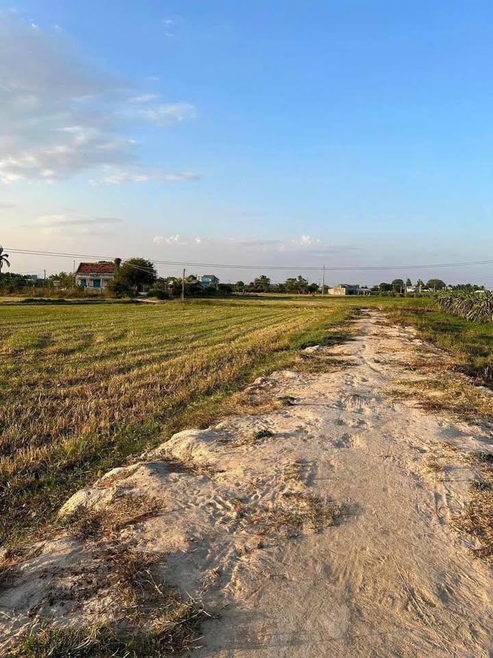 Đất lúa 1000m² tại Hàm Chính, giá chỉ 250 triệu - Tiềm năng phát triển lớn!