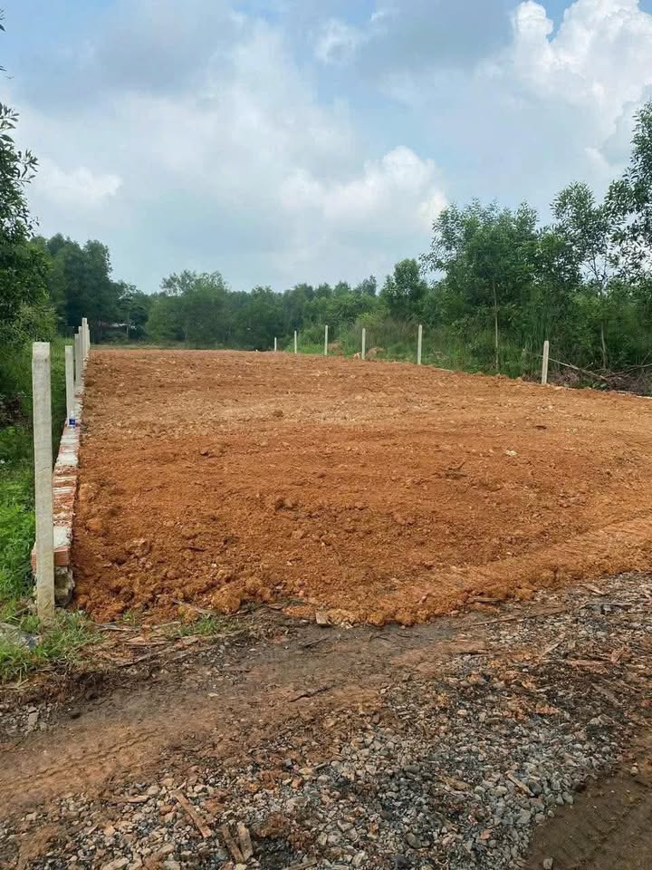 Đất nền Vĩnh An 550m² giá 650 triệu - Sổ hồng riêng, cơ hội đầu tư tốt!