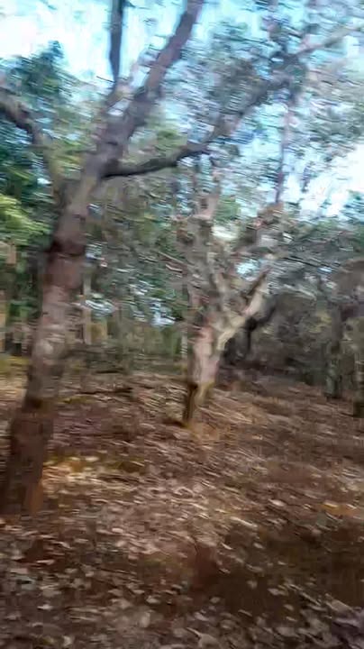 Đất Farm 14000m² tại Ia Khai, Ia Grai - Thương lượng giá tốt!